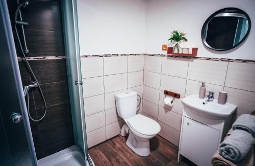 a bathroom with a toilet and a sink and a shower at Trapani house & camp in Růžová