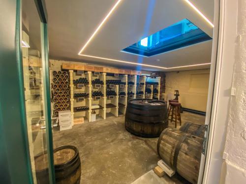 a wine cellar with wine barrels and a blue ceiling at Trompeterschlössle Hotel & Residence in Tägerwilen