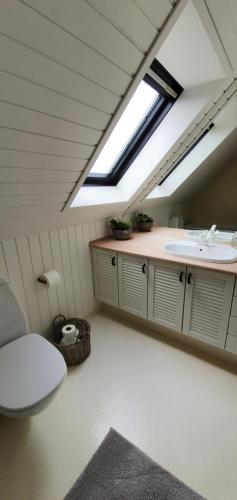 a bathroom with a toilet and a sink at Jyllandsgade B&B in Grindsted