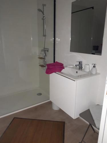 uma casa de banho branca com um lavatório e um espelho em Gite Amanala Poitou em Saint-Genest-dʼAmbière