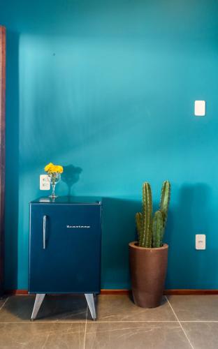 a blue wall with a cactus and a blue cabinet at 3 Piratas in Prea