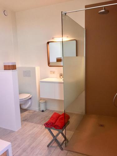 a bathroom with a glass shower and a toilet at B&B Waterside in Bruges