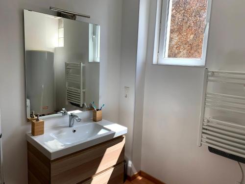une salle de bain avec un lavabo et un miroir dans l'établissement Appartement Cosy à quelques minutes du Centre, à Châlons-en-Champagne