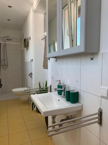 uma casa de banho com um lavatório e um espelho em Citynahes Apartment für die ganze Familie oder Gruppen in ruhiger Lage em Friburgo em Brisgóvia