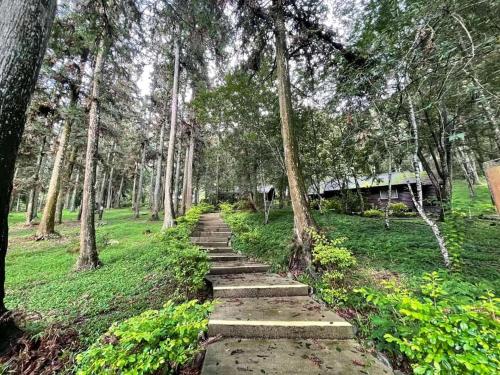 a stone path in a park with trees at Sun Moon Lake Youth Hostel in Yuchi