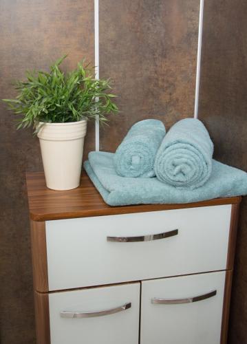a cabinet with towels and a potted plant on it at Helis Gästezimmer in Kirchbach in Steiermark