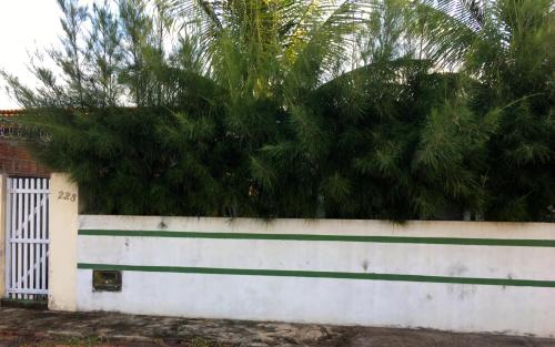 a white fence with a palm tree behind it at Casa na Praia de Muriu - Andréia in Muriú