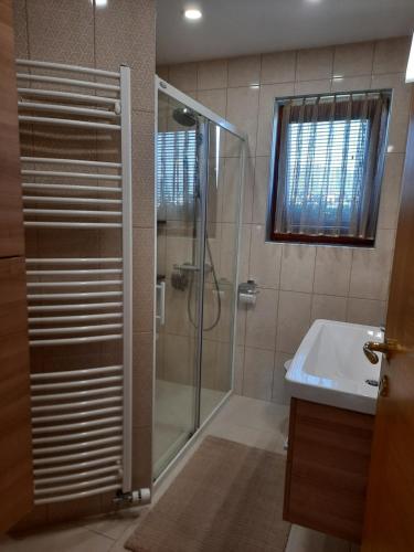 un bagno con doccia e lavandino di Apartma Tanya Bled a Bled