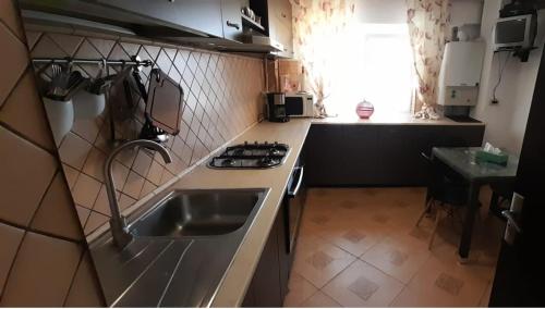 Dapur atau dapur kecil di Unirii Ultracentral Apartament