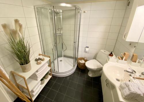 y baño con ducha, aseo y lavamanos. en Two bedroom apartment near the city centre., en Tromsø