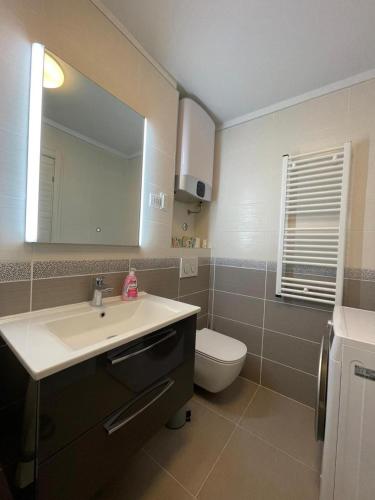 a bathroom with a sink and a toilet and a mirror at Apartment Tomy in Rijeka
