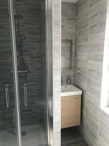 La salle de bains est pourvue d'une douche et d'un lavabo. dans l'établissement Suite 1 Cosy, à Cosne Cours sur Loire