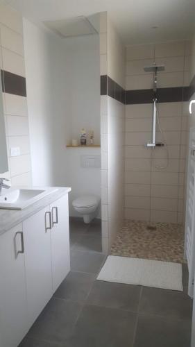 une salle de bain avec toilettes, lavabo et douche dans l'établissement Villa entière de 145m² calme en petite Camargue, à Beauvoisin
