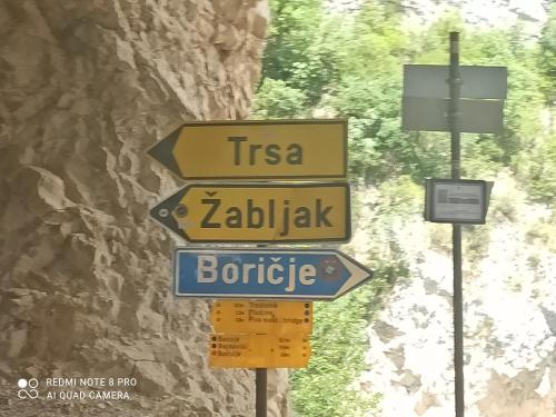 a group of street signs on a pole at Katun Ljeljenak in Pluzine