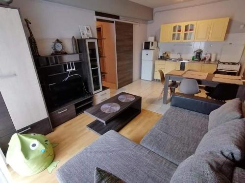 Zöld Béka Apartmanok Kölcsey I