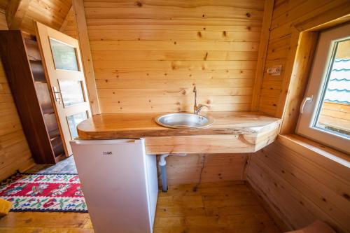 a bathroom with a sink in a tiny house at Gazela Bungalov 1 in Mojkovac