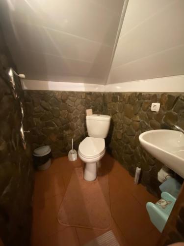 a bathroom with a toilet and a sink at VХаті in Slavske