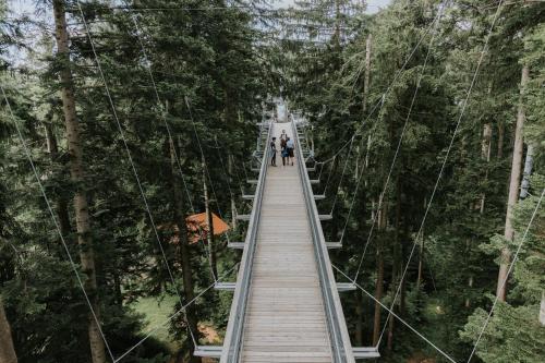 a suspension bridge in the forest at HEIMATEL - Suiten, Apartments und Studios in Scheidegg