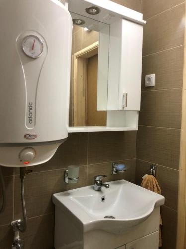 a bathroom with a white sink and a mirror at Apartman Bojovic in Žabljak
