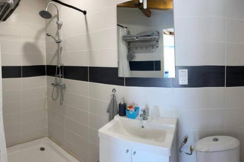 La salle de bains est pourvue d'un lavabo et d'un miroir. dans l'établissement Loft 21 m² pouvant accueillir 4 personnes, à Monteux