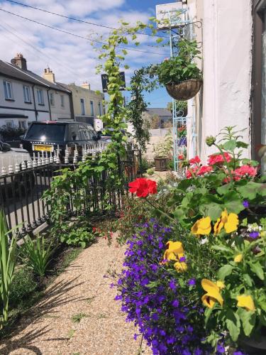a garden of flowers on a sidewalk next to a building at Mulgrave Lodge in Dun Laoghaire