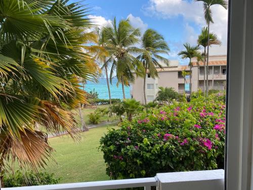 a balcony with a view of the ocean and palm trees at La pépite de Gosier in Le Gosier
