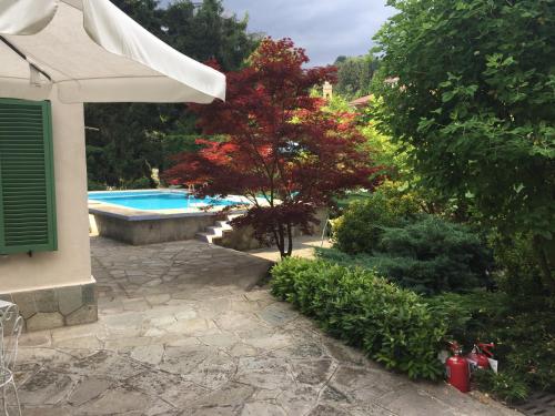 a garden with a swimming pool and a tree at Nel verde house di Rolando in Turin