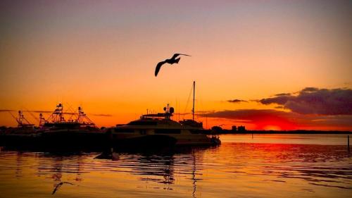 Grand Sandestin at Sandestin Resort by Tufan photo 56
