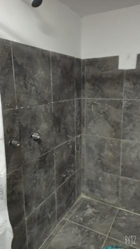 キトにあるHostal Da`Silvaのバスルーム(黒いタイル張りの壁のシャワー付)