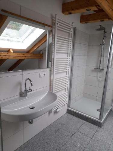 a bathroom with a sink and a shower at Haus Lehenthaler in Stadtsteinach