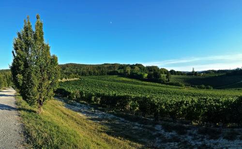Tenuta "La Meirana"