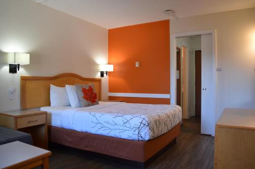 a bedroom with a bed with an orange wall at Canadas Best Value Inn & Suites-Castlegar in Castlegar
