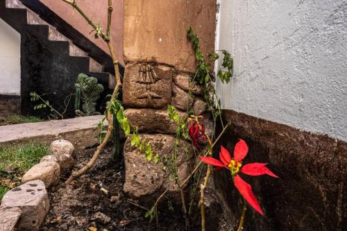 Κήπος έξω από το CASA ANDINA PRIVADA a lado del Museo - Qespiwanka