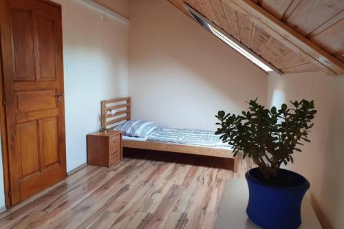 - une chambre avec un lit et une plante en pot dans l'établissement Villa Tátika, à Gárdony