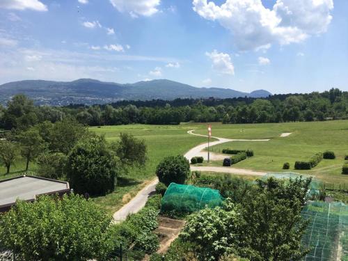an overhead view of a garden with trees and a road at Big family bed & breakfast in Suello