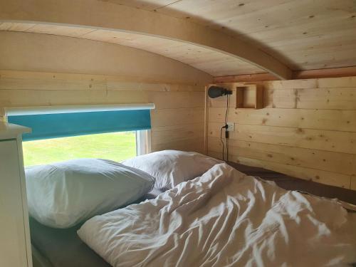 a bed in a wooden room with a window at Tiny house op wielen Friesland in Workum