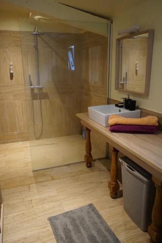 a bathroom with a sink and a shower at La Marlière Chambre de Charme in Houthem