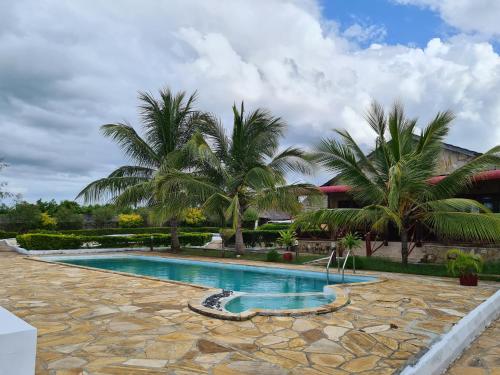 Ivory Ocean view – Photos 2