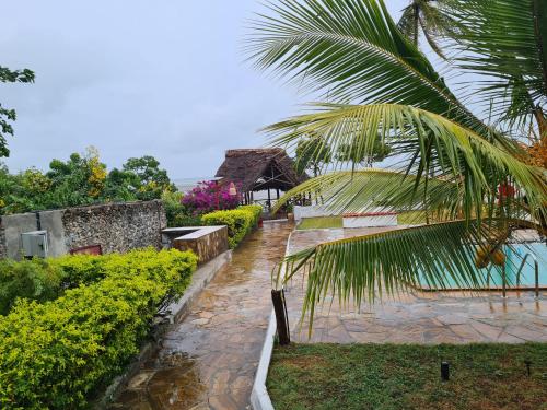 Ivory Ocean view – Photos 4