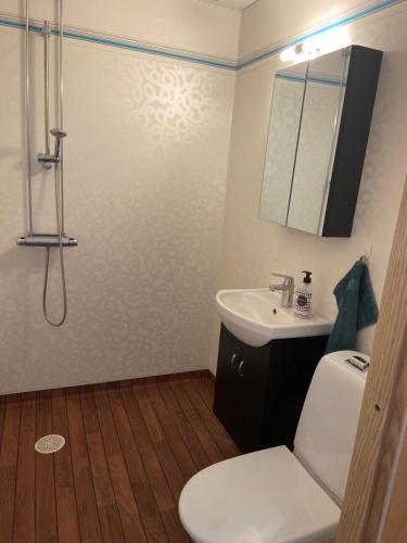 uma casa de banho com um WC, um lavatório e um chuveiro em Katthagen em Skara