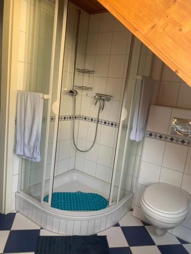 uma casa de banho com um chuveiro e um WC. em Haus Valentina em Waldsolms