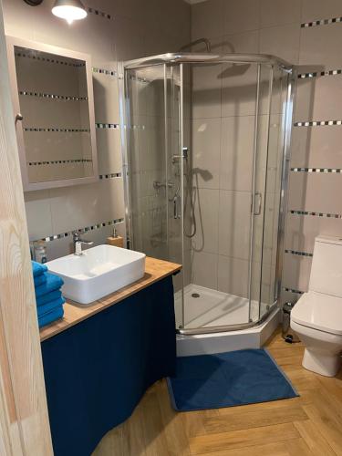 a bathroom with a shower and a sink and a toilet at Apartament Seagull 30m2 (300 meters to the sea) in Hel