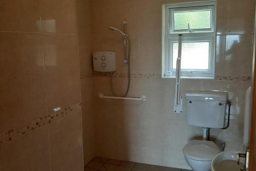 La salle de bains est pourvue d'une douche, de toilettes et d'un lavabo. dans l'établissement Lovely Innishmore Island Farmhouse, à Cavan