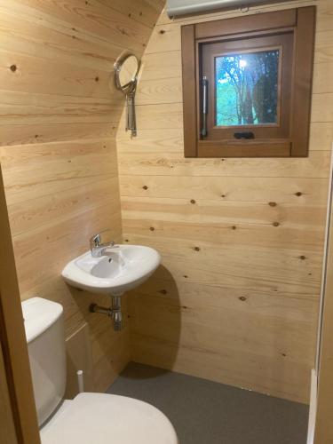 a small bathroom with a toilet and a sink at Camping Vila de Sarria in Sarria