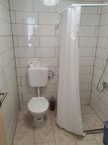 a bathroom with a toilet and a shower curtain at Aldi 2 in Pula