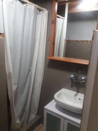 y baño con cortina de ducha y lavamanos. en Domek Sara en Przytarnia