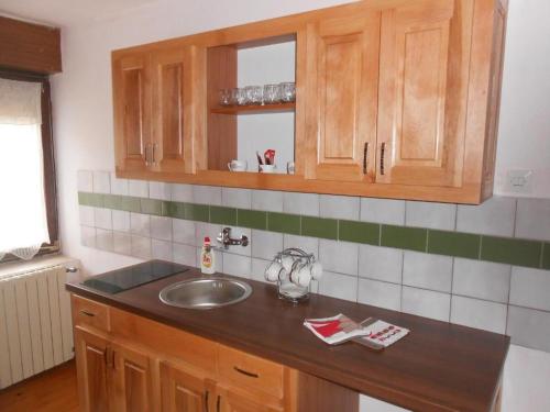 eine Küche mit einer Spüle und Holzschränken in der Unterkunft Apartman Draga in Mokra Gora