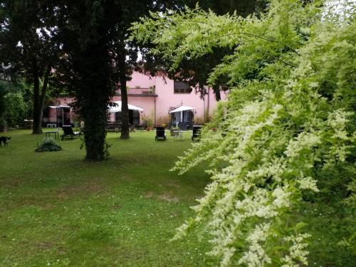 a bush with white flowers in front of a pink building at Residenza La Dimora ImPerfetta in Salionze