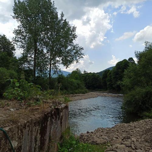 a river with rocks and trees on the side at Шепіт річки in Synevyr