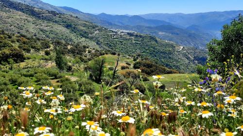 Gallery image of Alpujarra Guesthouse, habitaciones en un cortijo sostenible y aislado en medio de la nada en parque natural Sierra Nevada a 1150 metros altitud in Cáñar